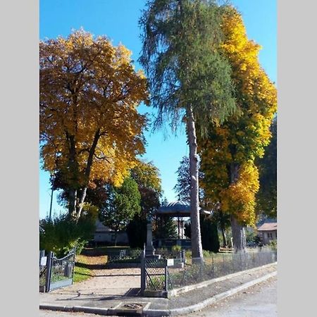 Maison Independ. 6 Personnes A 10 Mn De Gerardmer Granges-sur-Vologne Kültér fotó